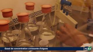 Laboratoire Chimie Ecotoxicologie FCBA [upl. by Enelyam]