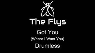 The Flys Got You Where I Want You Drumless [upl. by Mellar84]