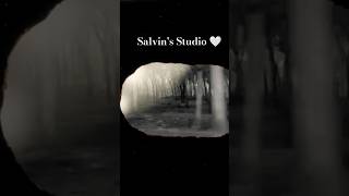 Tour Vlog 📸  Salvins Studio 🎙️  tour mytour bestmoments salvinstudio [upl. by Jareen]