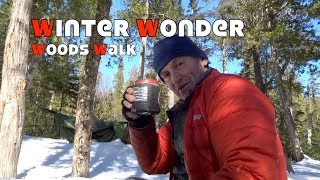 Winter Wonder Woods Walk [upl. by Thaine108]