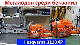 Хускварна 3120 XP  Самая мощная и большая бензопила в мире подготовка к обзору [upl. by Reniti230]