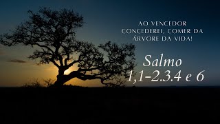 Salmo 11 2 3 4 e 6  Ao vencedor concederei comer da Árvore da Vida [upl. by Ramoj]