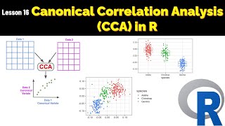 Correspondence Analysis using SPSS  Handson session [upl. by Ahsaetan]