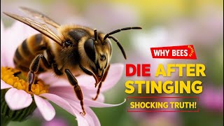 Why Do Bees Die After They Sting The Shocking Truth Revealed 🐝💀 [upl. by Bernstein]