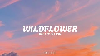 Billie Eilish  Wildflower LYRICS [upl. by Narda]