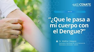 ¿Que le pasa a mi cuerpo con el Dengue [upl. by Ylremik]