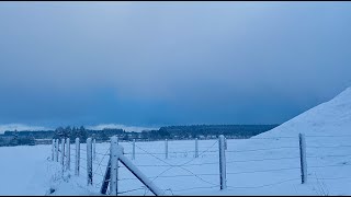 Winterse BEELDEN in de ARDENNEN Lokaal tot 10 cm SNEEUW 271121 [upl. by Galateah107]