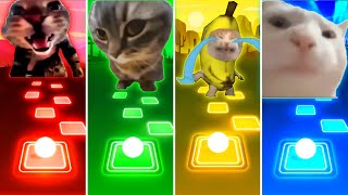 Doorbell Cat vs Chipi Chipi Chapa Chapa Cat vs Banana Cat vs Vibing Cat  Tiles Hop EDM Rush [upl. by Ettelegna]