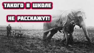 Страшная но забытая трагедия в Российской истории [upl. by Forsta]