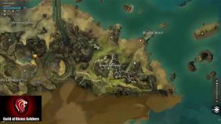 Guild Wars 2  Risen Lowlands Vista [upl. by Nedah577]