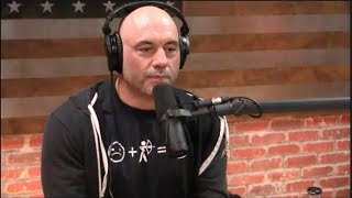 Joe Rogan  The Science of Hotness vs Beauty [upl. by Seugram579]