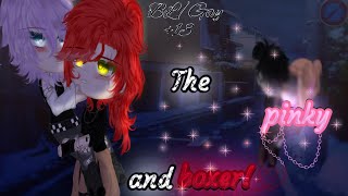 The pinky and boxer  OG  BLGay  Original Gay Gacha movie  13 [upl. by Oiciruam]