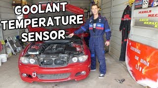 WHERE IS THE COOLANT TEMPERATURE SENSOR ON BMW E46 320I 323I 325I 330I 328I [upl. by Gaspard]