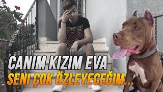 CANIM KIZIM EVAYI BENDEN ALDILAR HİÇ Mİ VİCDANINIZ YOK [upl. by Ahsieuqal]