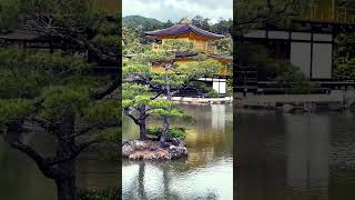 Kinkakuji templekyoto goldentemple [upl. by Christmann420]