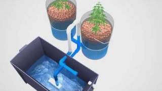 Super Simple Ebb amp Flow Hydroponics System [upl. by Flossi]