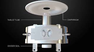 Stripping Down A Sanitary Style Flotronic Air Operated Diaphragm Pump 2 [upl. by Culosio950]