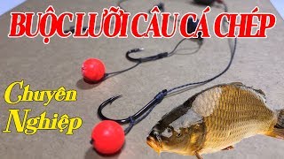 Cách Buộc Lưỡi Câu Cá Chép Chuyên Nghiệp  Bộ Câu 31 Cần Câu Cá Chép  Fishing Carp rigs [upl. by Ronoh]