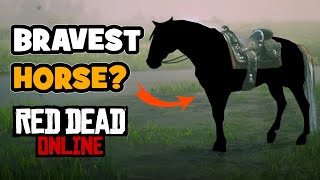 Fearless Horse in Red Dead Online Horse bravery tested in RDR2 online [upl. by Yort981]