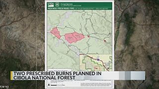 Prescribed burn planned in Cibola National Forest [upl. by Silverstein]