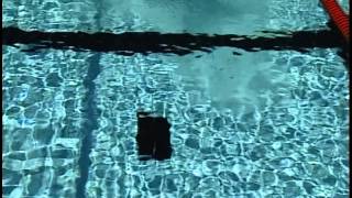 Officiating Swimming Chapter 3  Backstroke [upl. by Esinwahs140]