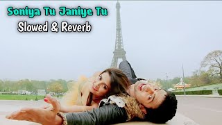 Soniye Tu Janiye Tu  Slowed amp Reverb  Khokababu  Dev amp Shubhashree ❤ [upl. by Mechelle349]