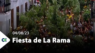 Fiesta de La Rama  Agaete 2023 [upl. by Nitza]