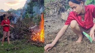 20yearold single mother grows vegetables to improve meals farm life life in harmony with nature [upl. by Strohl]