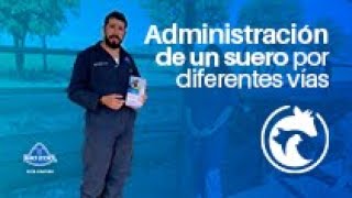 Administración de suero vía intravenosa intraperitoneal y subcutánea [upl. by Itteb]