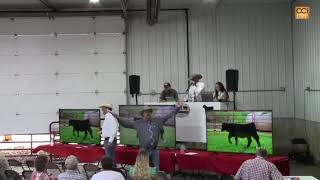 Swing Shift Simmentals Production Atalissa IA Sept 2024Sep21130059mp4 [upl. by Singhal]