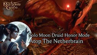 Solo Moon Druid The Netherbain Honor Run [upl. by Carleton]