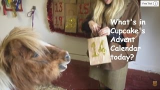 Whats in Cupcakes Advent Calendar today TV Episode 104 [upl. by Steen]