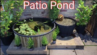 Building a Stunning Goldfish Pond on My Patio [upl. by Haerle]