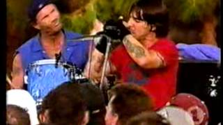 Red Hot Chili Peppers  The Zephyr Song Live VH1 BBQ  USA 2002 [upl. by Lamaaj513]