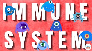 Immune System Innate and Adaptive Immunity Explained [upl. by Bazil]