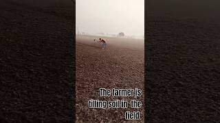 Farmer tilling soil in the field [upl. by Etnoek]