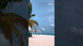 Morning Magic in the Maldives MaldivesMornings TravelVlog [upl. by Hayes553]