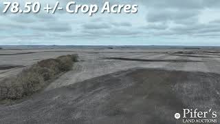 80  Acres  Bottineau County ND [upl. by Novanod993]