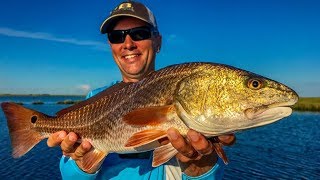 Underfished marsh crawling with redfish [upl. by Killam]