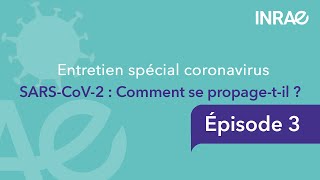 SARSCoV2  Comment se propagetil   Entretien spécial coronavirus 3 [upl. by Jariah]