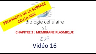 biologie cellulaire s1 vidéo 016  la membrane plasmique شرح [upl. by Oirretna]