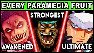 All Paramecia Users and Their Powers Explained 2  One Piece Every Devil Fruit [upl. by Esialb]