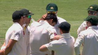 Mitchell Johnson 638 3rd Test Perth 201011 Ashes Series [upl. by Eckblad207]