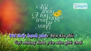 Tôi Thấy Hoa Vàng Trên Cỏ Xanh Karaoke Tone Nam [upl. by Cyma]