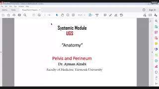 Lec 4  5  Anatomy  Dr Ayman   Pelvis amp Perineum [upl. by Trotter]