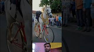 Ghoada Animal in Circles punjabisong dance punjabi newsong trending [upl. by Ahsinert]