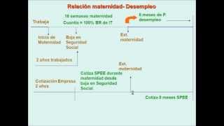 umh1909 201213 Lec005 Subsidio por Maternidad 23 [upl. by Lianne606]