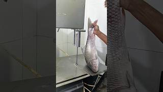 New Style fish cutting skills Mirgel fish cutting skills shorts fishlaver [upl. by Anilatsyrc]