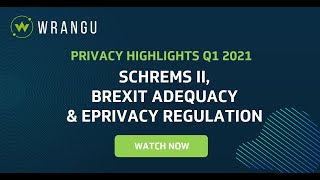 Privacy Highlights Schrems II Brexit Adequacy amp ePrivacy Regulation by Stephen Ragan [upl. by Eerased]