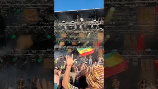 Skip Marley  Is This Love  Live at Festival No Logo Bzh 2024  HD [upl. by Akere]